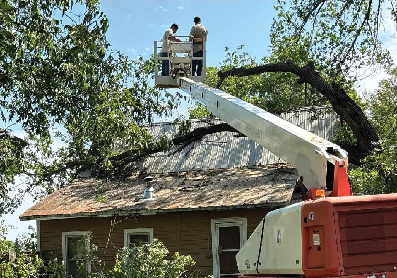 Land clearing and tree removal services